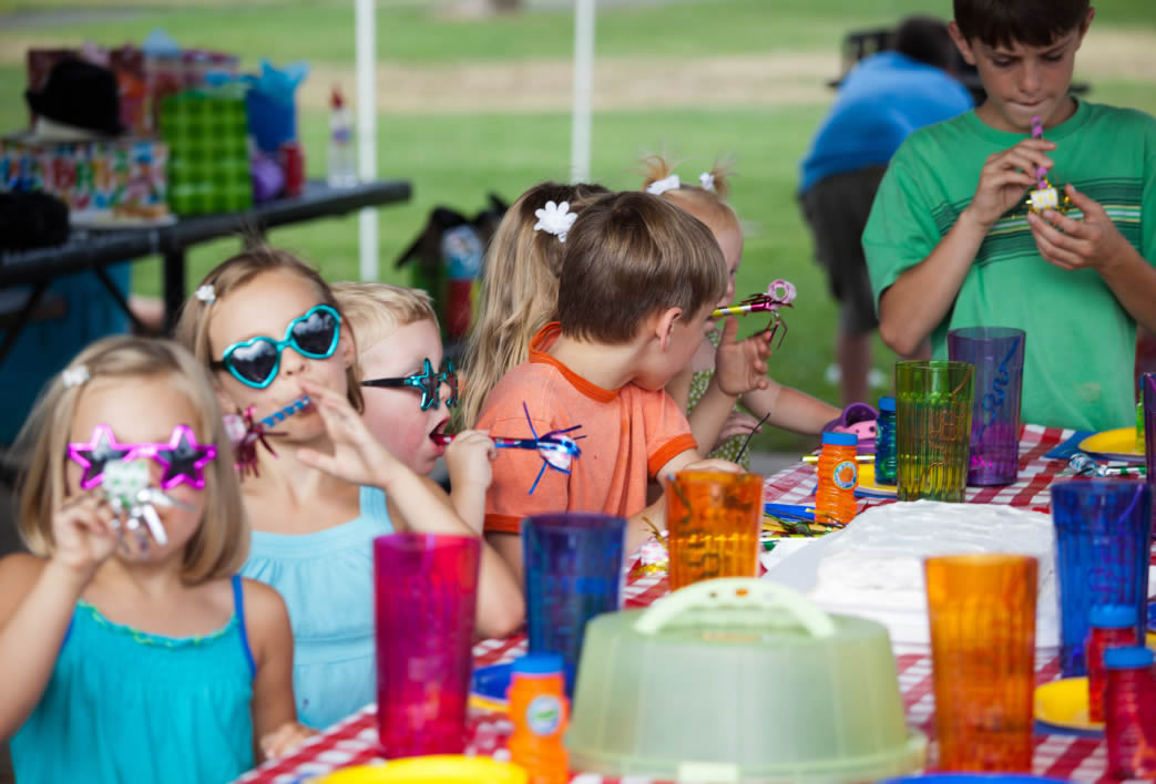 Idea cumpleaños aire libre con picnic