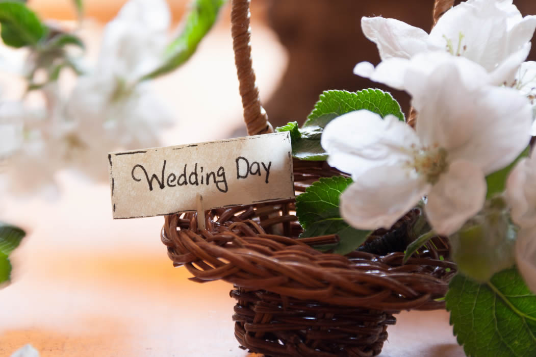 Esquina Verde Boda